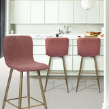 Dining Chair BAR CORAL